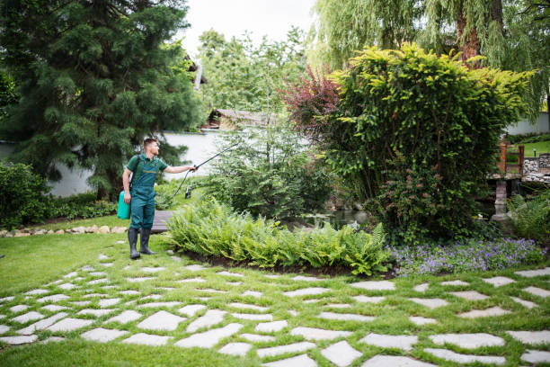 Best Ant Control Services  in Nanticoke, PA