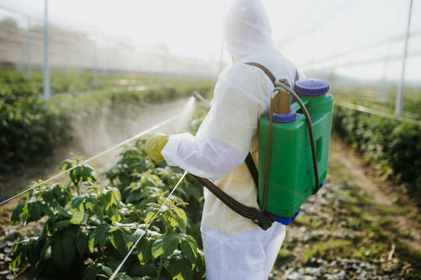 Reliable Nanticoke, PA Pest Control Solutions